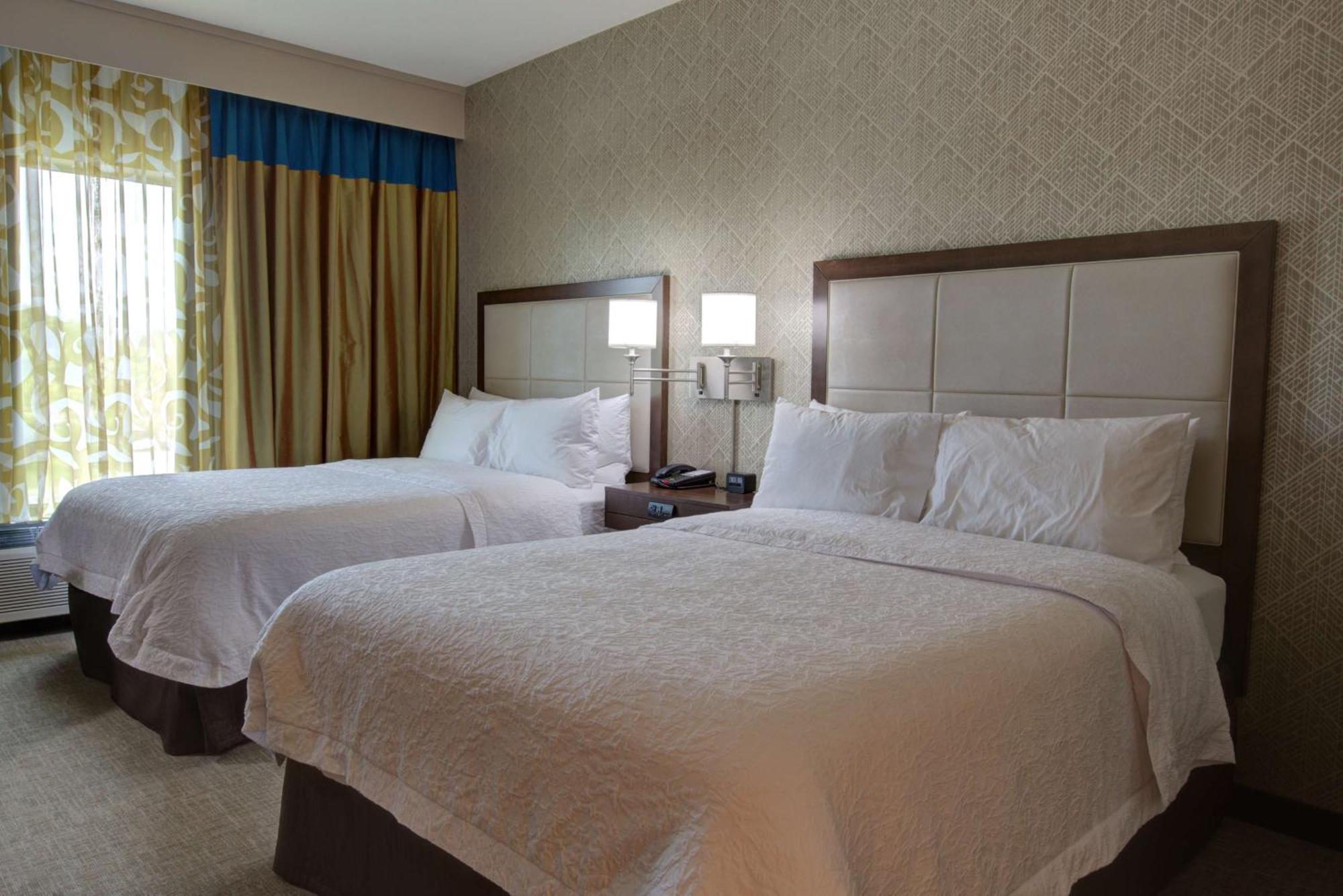Hampton Inn & Suites By Hilton Tampa Busch Gardens Area Exterior foto
